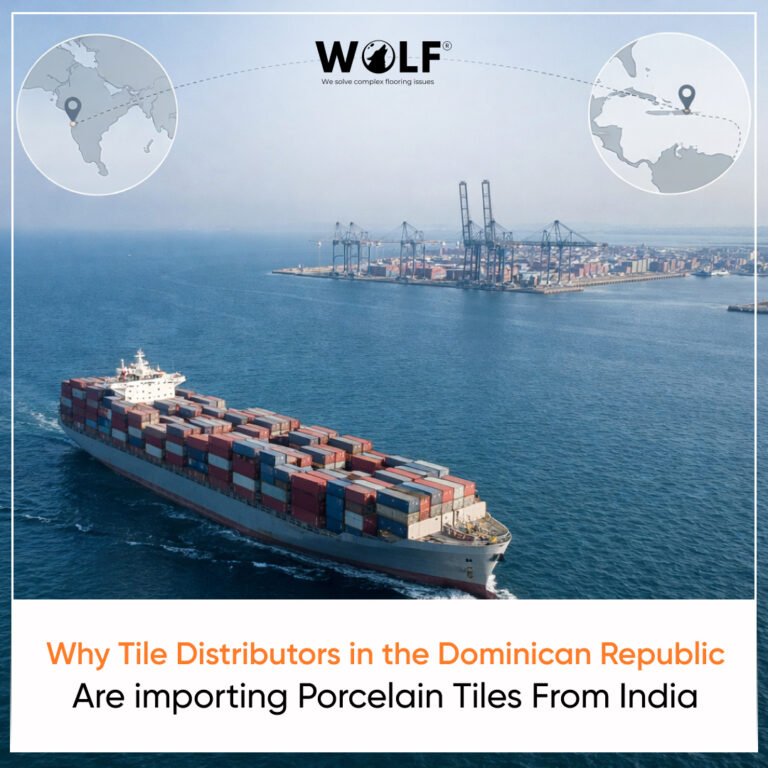 Container ship transporting porcelain tile imports to the Dominican Republic through established global trade routes.